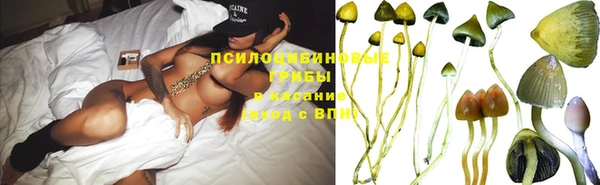 индика Майский