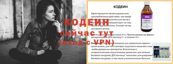 индика Майский