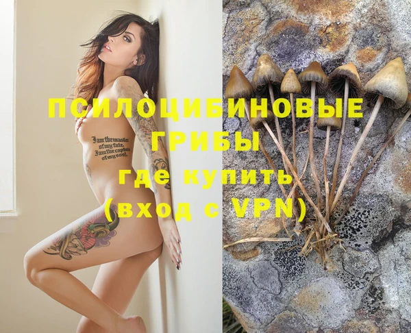 дурь Лихославль