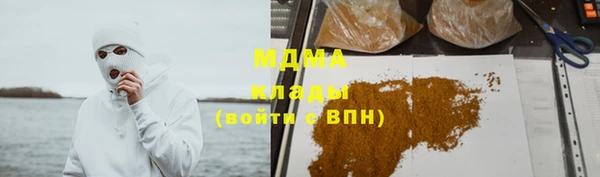 индика Майский