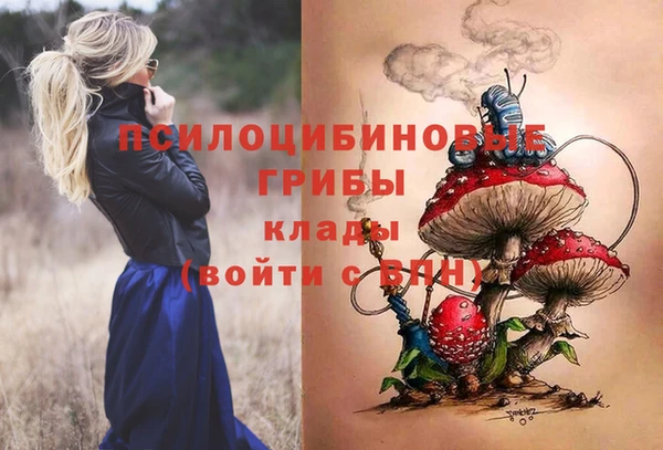 соль курить ск Сясьстрой