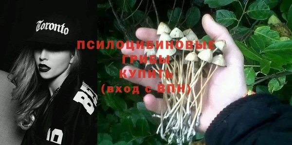 прущая мука Тайга