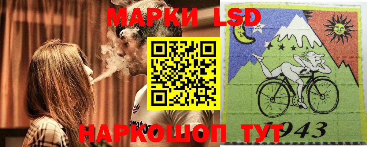 МЕФ Славгород