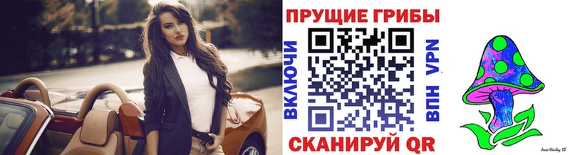 OMG зеркало  Славгород  Галлюциногенные грибы Psilocybe 