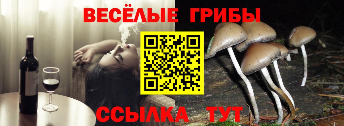 Псилоцибиновые грибы Psilocybine cubensis  Вход с VPN  Галлюциногенные грибы мухоморы  Славгород 